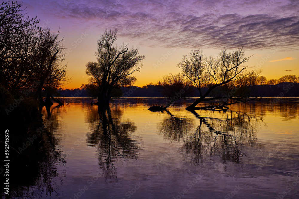 Sunset over river with silhouettes of trees, reflection and vivid yellow and purple colors Sunset over river with silhouettes of trees, reflection and vivid yellow and purple colors