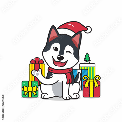 Vector cartoon character siberian husky dog with gifts for design.