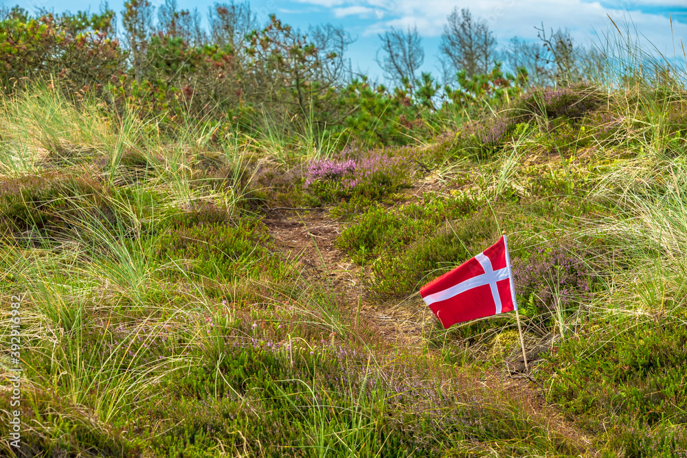 The Danish flag of Dannebrog and the Thy National Park in Northern