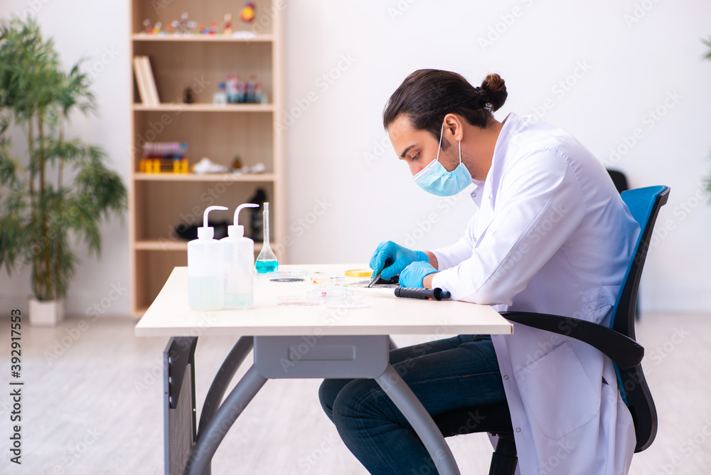 Fototapeta premium Young male chemist working in the lab during pandemic