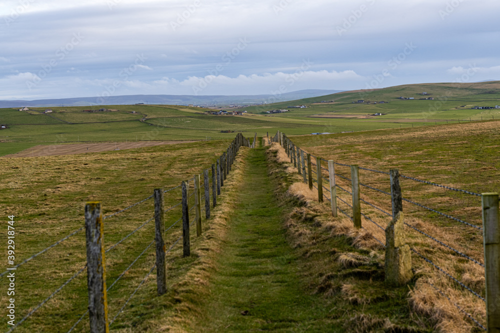 grass path