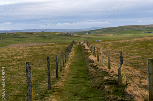 grass path