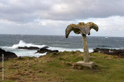 Orkney whale bone
