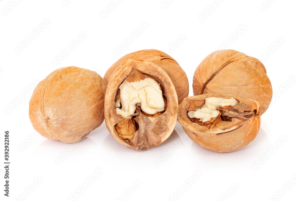Walnut isolated on a white background.