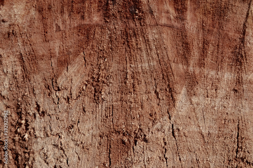 Wallpaper Mural old wood background Torontodigital.ca