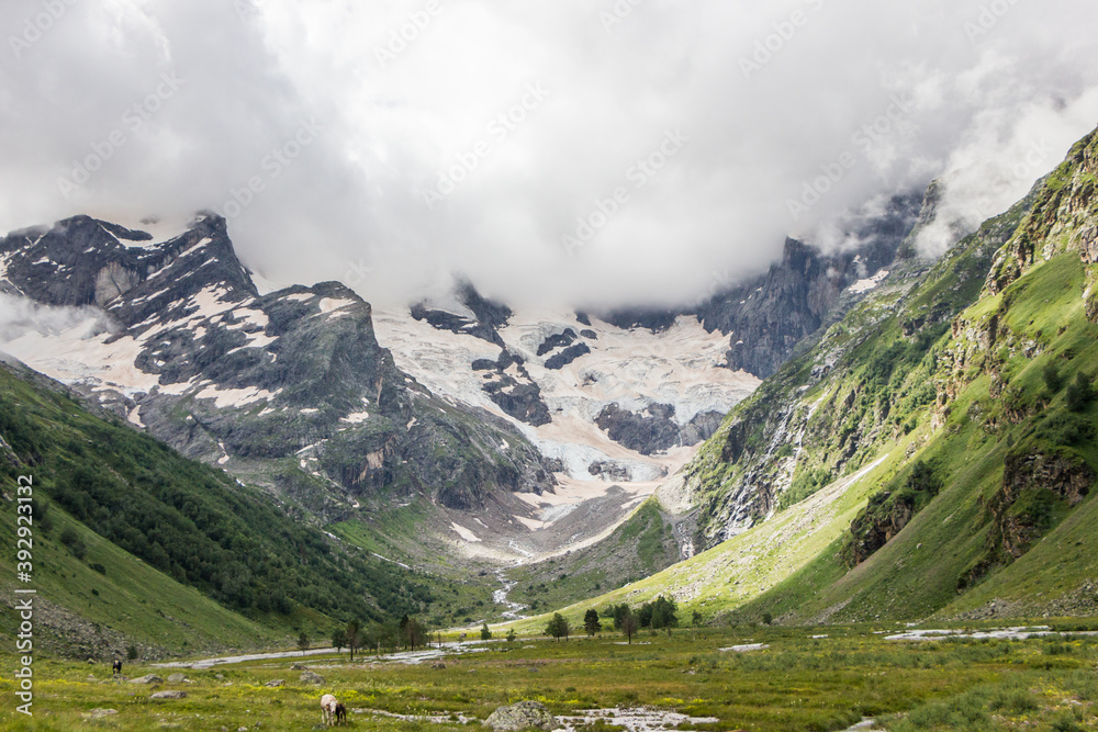 zone of Alpine meadows in the Caucasus mountains in summer