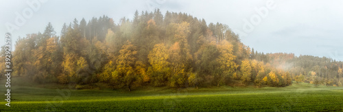 Grüne Wiese, im Hintergrund einen in Herbstfarbenden Hügel im Nebel
