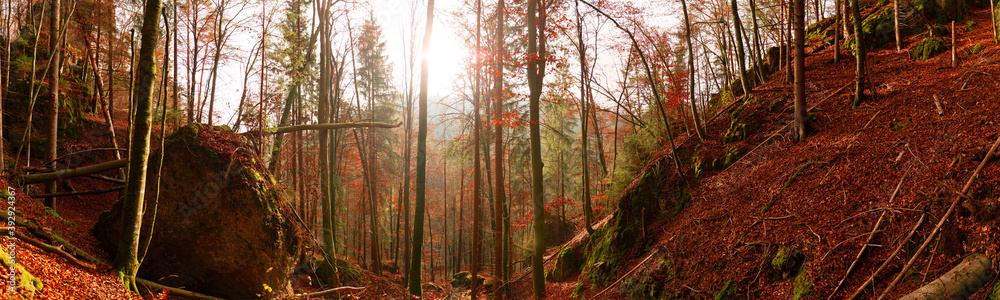 Naklejka premium Herbstpanorama