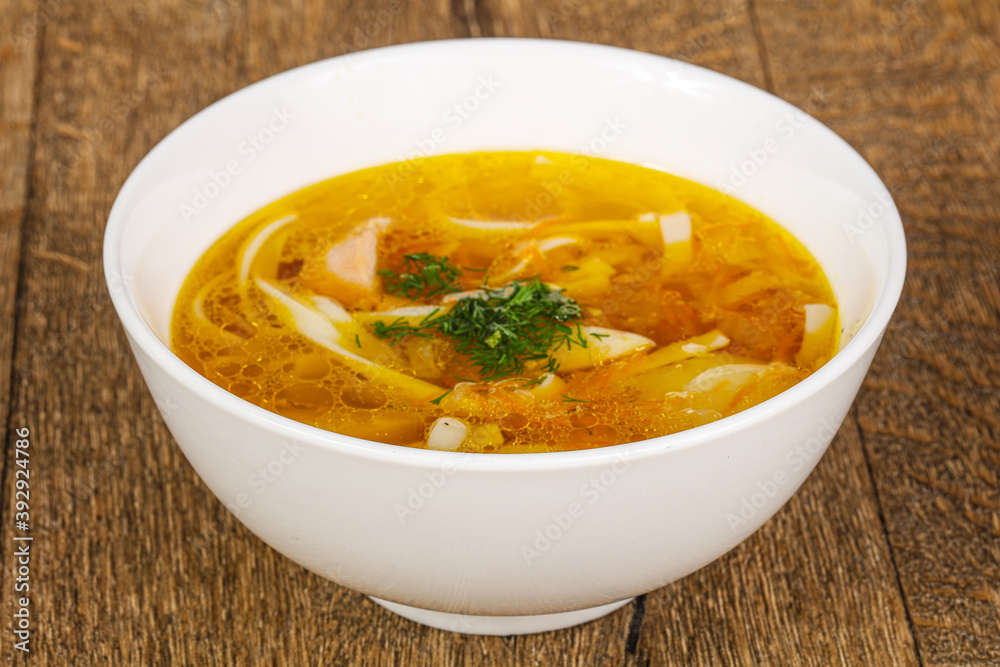 Chicken soup with noodles and meat Chicken soup with noodles and meat