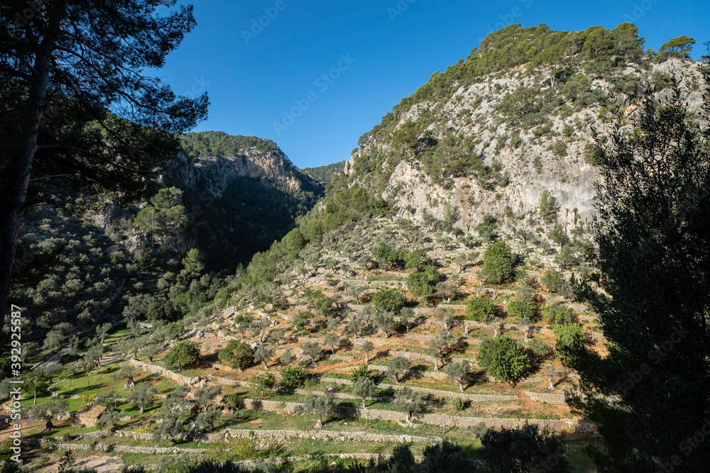 Rotes de Caimari, municipality of Selva, Well of Cultural Interest, Mallorca, Balearic Islands, Spain Rotes de Caimari, municipality of Selva, Well of Cultural Interest, Mallorca, Balearic Islands, Spain