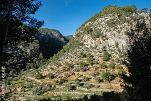 Rotes de Caimari, municipality of Selva, Well of Cultural Interest, Mallorca, Balearic Islands, Spain