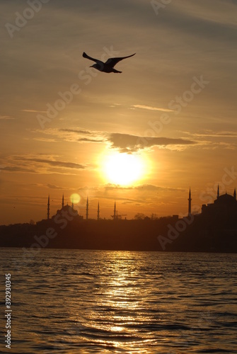 Sunset City Muslim Mosque Seagull Sea