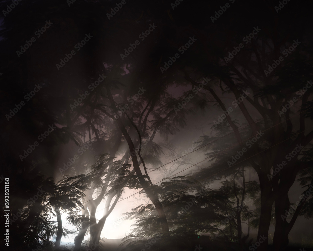 Fototapeta premium spooky halloween night