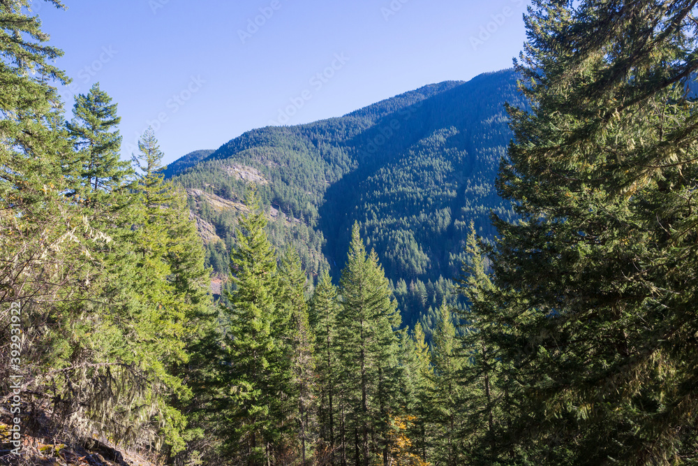 Beautiful landscape view of the forest in North Cascades National Park during the fall (Washington).