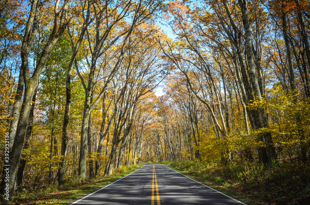 Shenandoah National Park