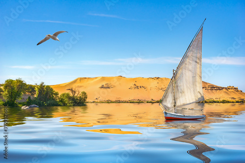 Seagull and sailboat