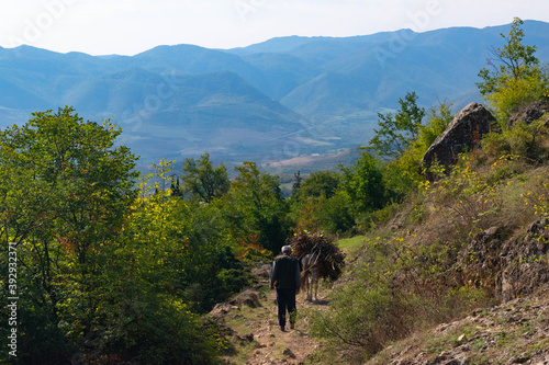 Horse carrying wood on one of the roads between Azokh and Karmir Shuka with mountains in the background on the Janapar Trail in Nagorno Karabakh in the Republic of Artsakh
