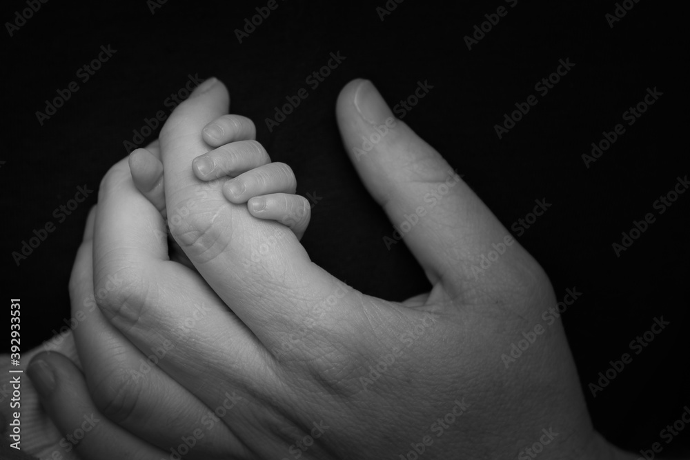 parent and baby hands parent and baby hands
