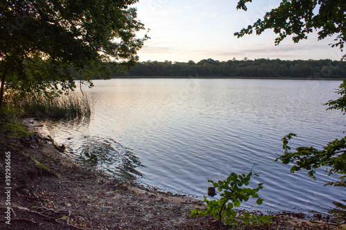 calm water of lake, evening mood with sun, lake called Gyllebo sjö in Sweden photo