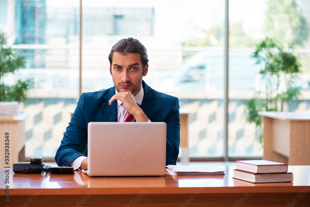 Young handsome employee working in the office Young handsome employee working in the office