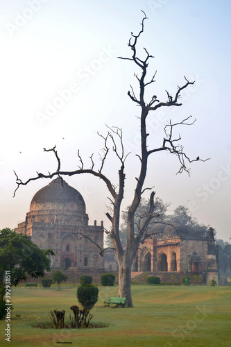A tree with no leaves in front of the archaeological monuments in Lodhi Garden in Delhi, India