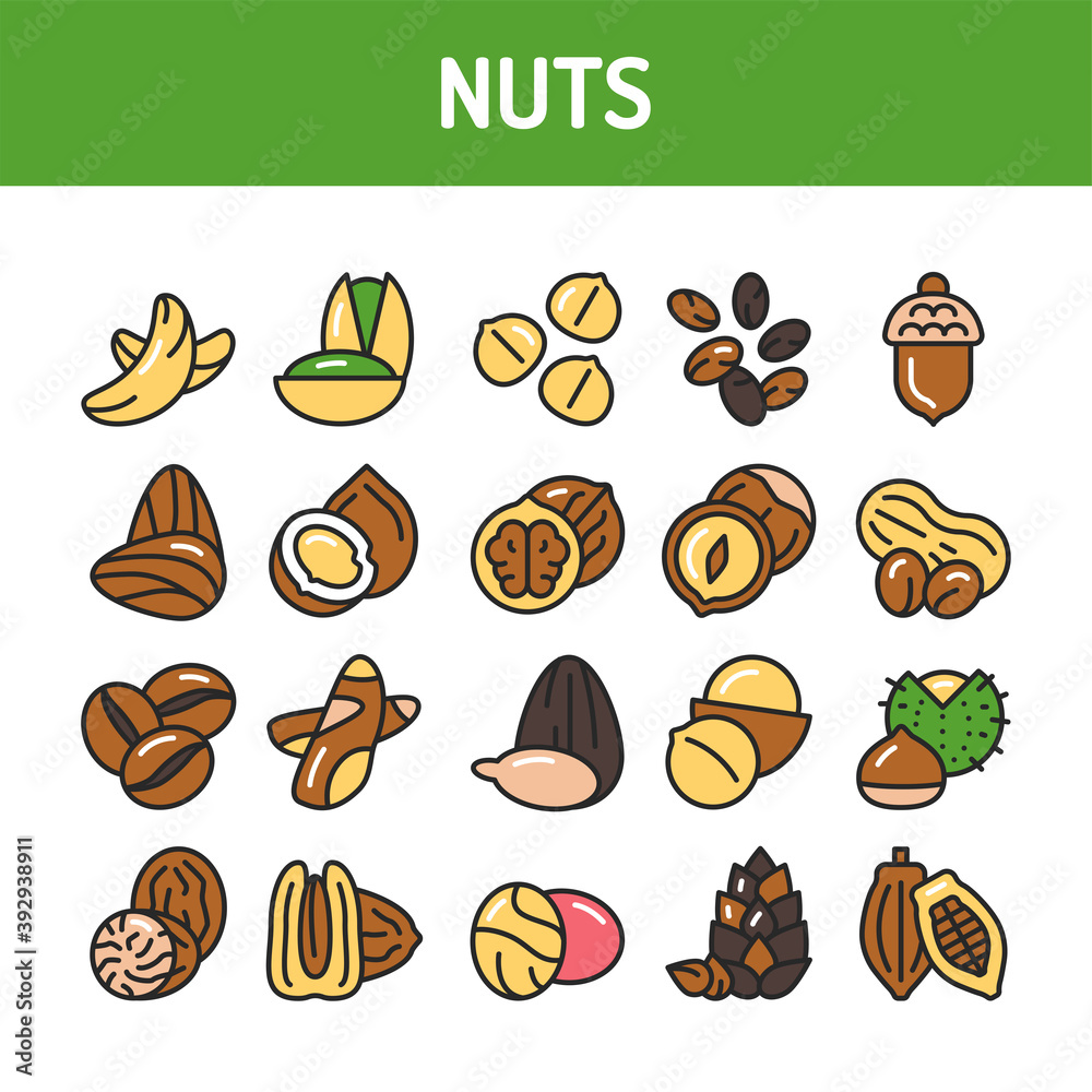 Nuts and seeds color line icons set. Isolated vector element. Outline pictograms for web page, mobile app, promo.