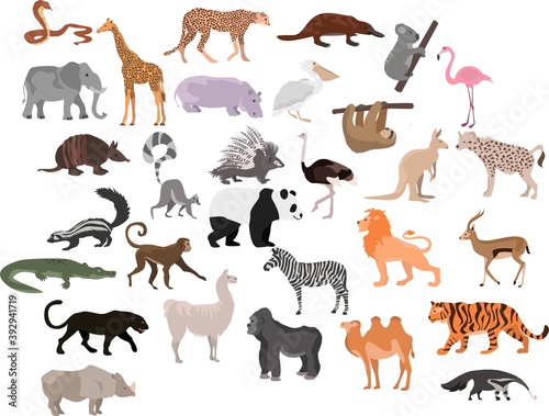 Set of cute cartoon animals. African animals. Animals