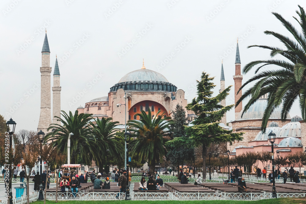 Naklejka premium Ayasofia Mosque in Istanbul with a promenade and palm trees. Landmark of Turkey.