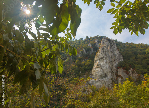 Trough the branches at Decebalus statue photo