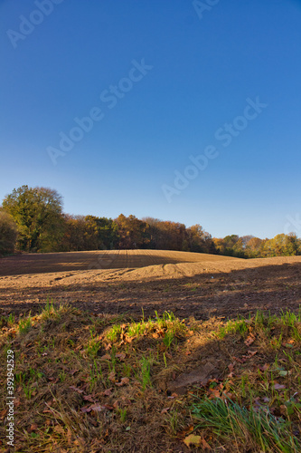 Leerer Acker im Herbst