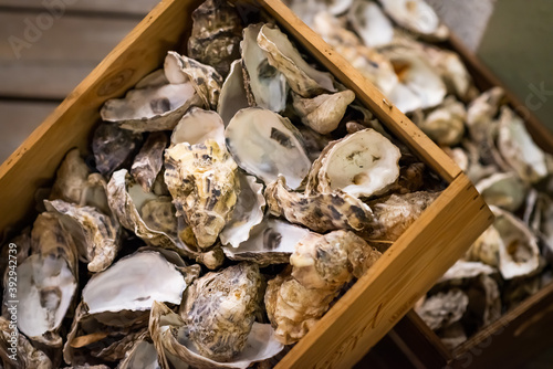 oyster shells in a basket