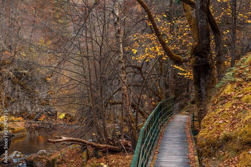 Bridge for hikers in the gorge of the Devinska River in Bulgaria photo