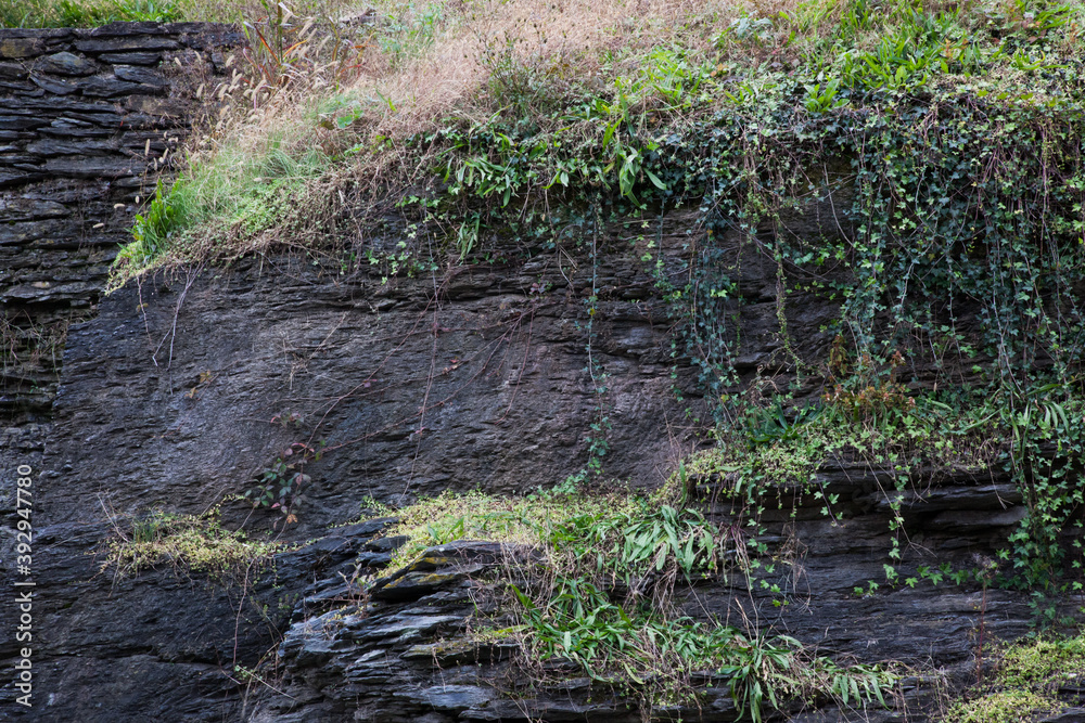 Fototapeta premium Stone wall for background and texture