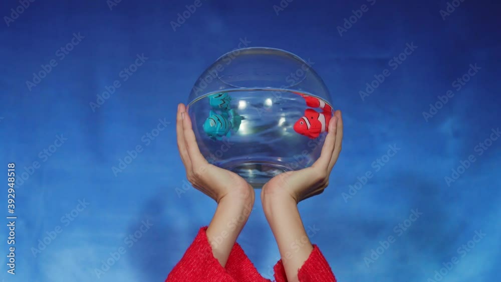 Hands raising fish tank with fishes. Colorist video.