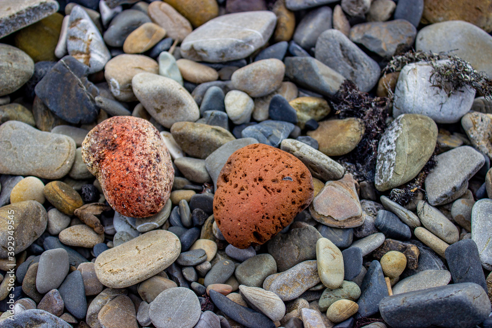 Beautiful textured red stone similar to volcanic. I lay among other gray,blue, and white rocks of various sizes on a pebbly beach. Textured rocky background. Beautiful textured red stone similar to volcanic. I lay among other gray,blue, and white rocks of various sizes on a pebbly beach. Textured rocky background.
