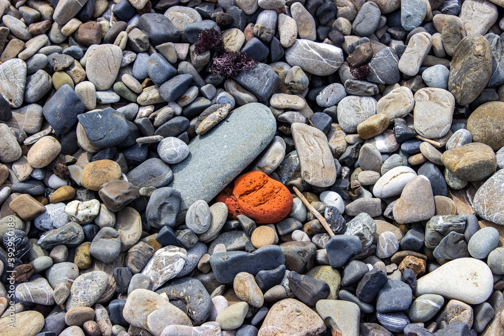 Beautiful textured red stone similar to volcanic. I lay among other gray,blue, and white rocks of various sizes on a pebbly beach. Textured rocky background. Beautiful textured red stone similar to volcanic. I lay among other gray,blue, and white rocks of various sizes on a pebbly beach. Textured rocky background.