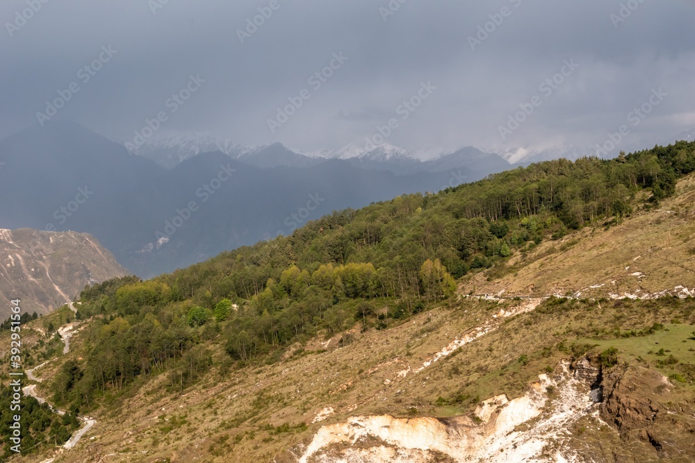 Scenic landscape of a green pine forest with a panorama of snow capped mountains on a cloudy, overcast day in the Himalayan village of Munsyari, Uttarakhand.