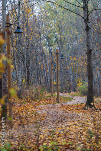 nature trails meander in autumn with leaves