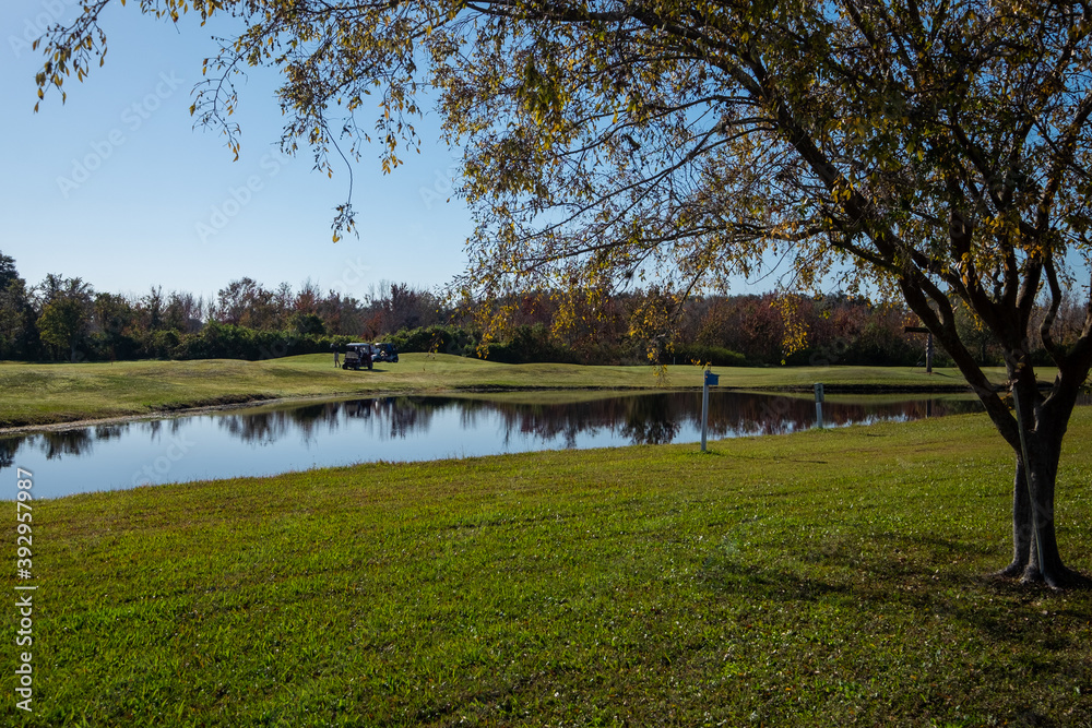 A golf course green with green grass and a large tree in the foreground, a river running through the middle dividing grass mounds. Two golf carts are at a golf hole in the background. A golf course green with green grass and a large tree in the foreground, a river running through the middle dividing grass mounds. Two golf carts are at a golf hole in the background.