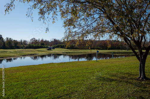 A golf course green with green grass and a large tree in the foreground, a river running through the middle dividing grass mounds. Two golf carts are at a golf hole in the background. 