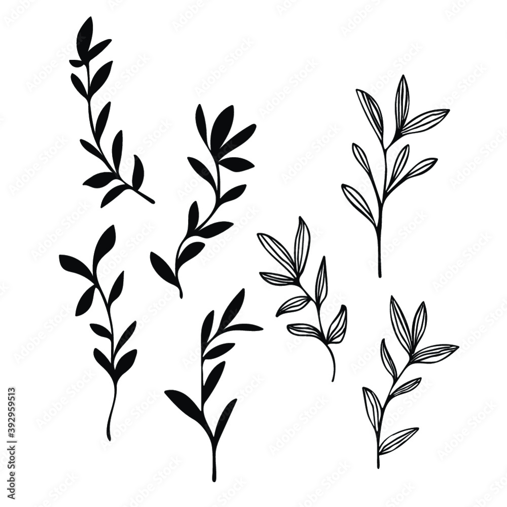 Leaves
Leaves