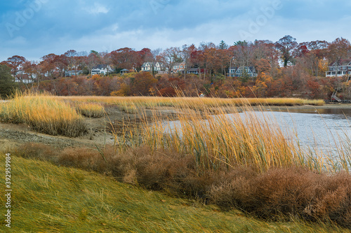 autumn landscape with river in West Meadow Wetlands Reserve, stony brook, ny