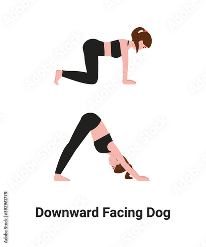 Woman do Adho Mukha Svanasana or Downward Facing Dog pose yoga for back pain. Flat vector cartoon isolated illustration.