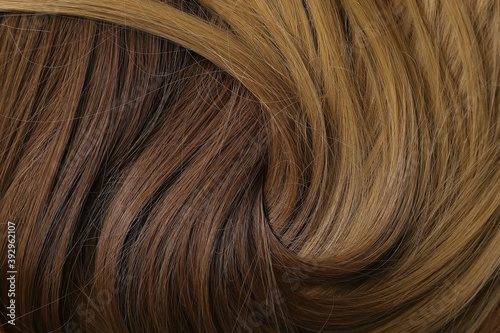 Curl of brown hair. Hair texture.