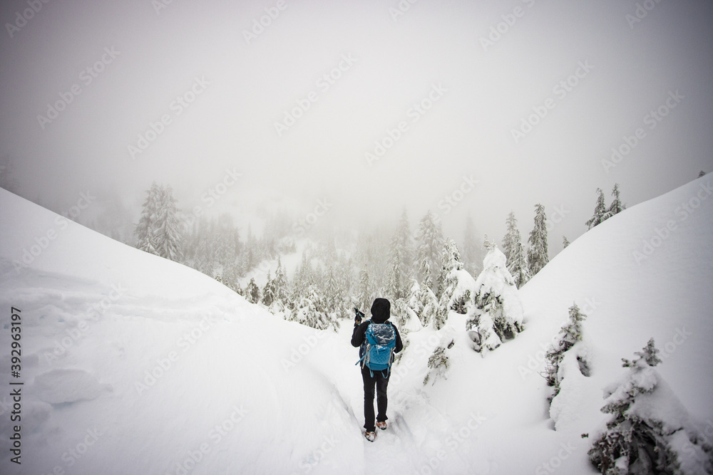 hiker in winter landscape with snow covered trees