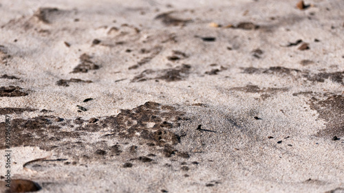 Fine sand on the beach