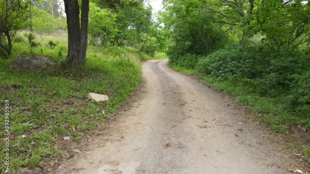 Gimbal view of motion seen through pathway in nature Gimbal view of motion seen through pathway in nature