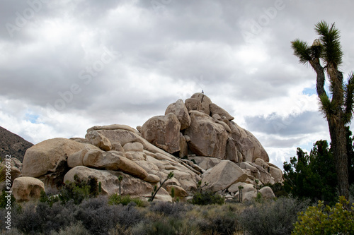 Rock formations in Joshua Tree