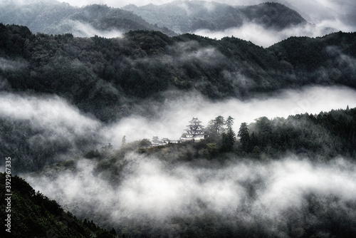 日本の城