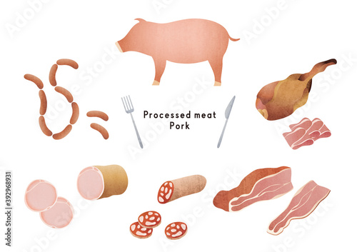 豚といろんな加工肉のイラストセット